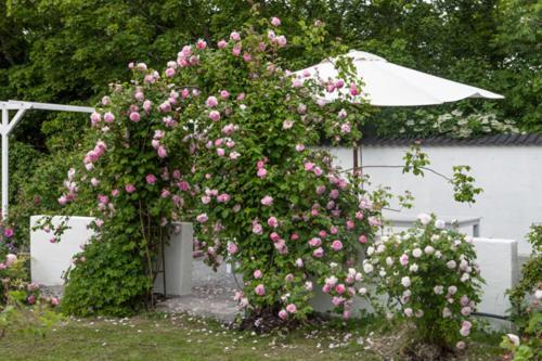 Vallby Cottage Enköping Kültér fotó