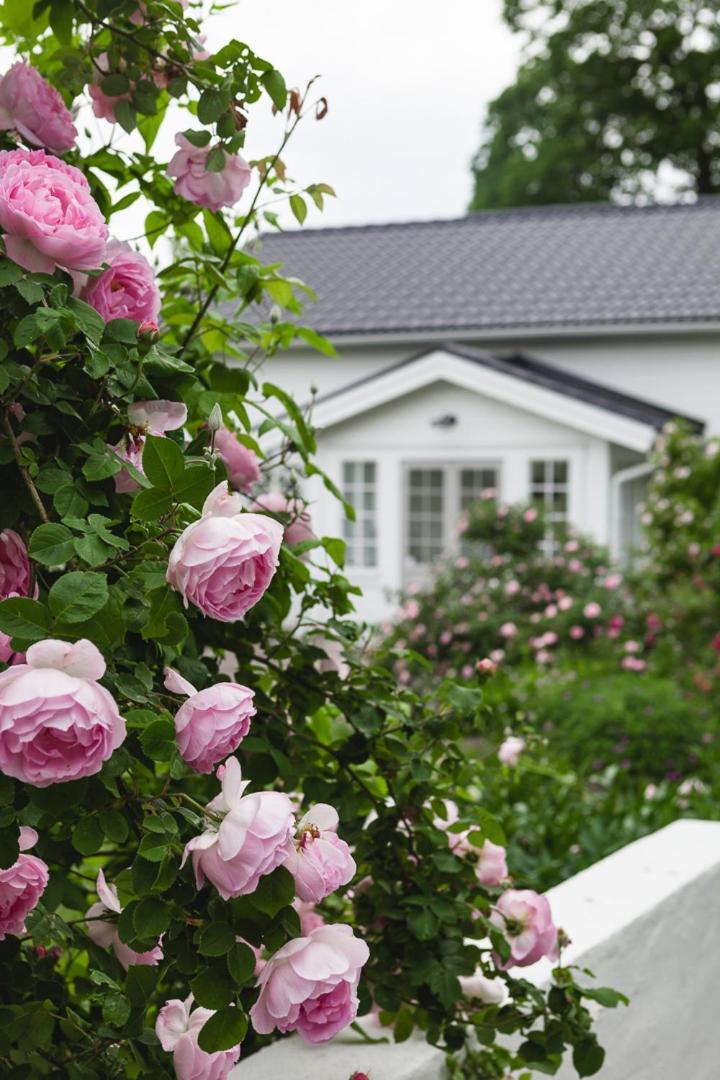 Vallby Cottage Enköping Kültér fotó